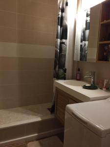 bagno con lavandino, vasca e doccia di Appartement Taverny a Taverny