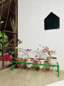 un banc vert avec des plantes en pot dessus dans l'établissement Huge Private two double beds family room, à Kanpur