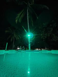 una palmera en medio de una piscina por la noche en Cabaña Palmeras del Viento en San Bernardo del Viento