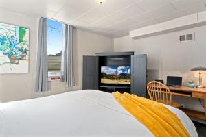 Dormitorio con cama, escritorio y TV en Garden Level Apt Mtn Ave - 8 min walk to Old Town!, en Fort Collins