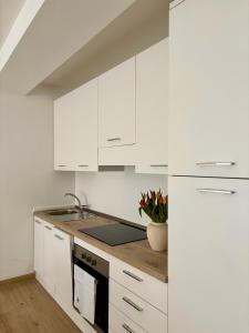 een witte keuken met witte kasten en een wastafel bij Tati&Ele apartments in Sedico