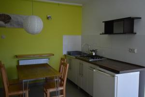 a kitchen with green walls and a table and a sink at Domyletnie Sarbinowo Mały Dom 46 m2 z ogrodzoną działką in Sarbinowo +13 photos