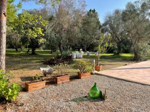 een tuin met potplanten en een bank en bomen bij Tenuta Palmarini in San Cataldo