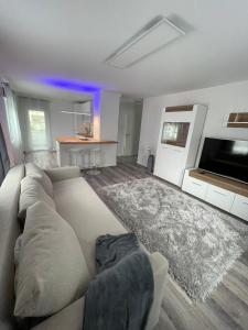 巴林根的住宿－FeWo Style，带沙发和电视的客厅