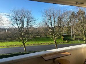 a window with a view of a road and trees at Splendide appartement 40m2 familial cabourg in Cabourg