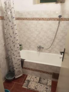 a bathroom with a bath tub with a shower curtain at Cozy hotel with breakfast in Subotica