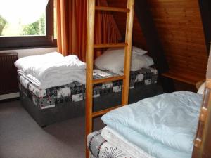 - une chambre avec 2 lits superposés et une échelle dans l'établissement Ferienhaus in Machtlos mit Terrasse und gemeinschaftlichem Pool, à Ronshausen