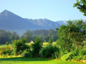 ein grünes Feld mit Bäumen und Bergen im Hintergrund in der Unterkunft Einmalige Panorama-Bergsicht in die Allgäuer Alpen in ruhiger Einzellage in Ofterschwang