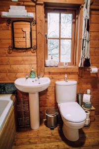 a bathroom with a toilet and a sink at Bothy Cabin -Log cabin in wales - with hot tub in Newtown