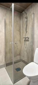 Fotografie z fotogalerie ubytování Cottage with a wiew v destinaci Sommarøy