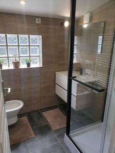 ein Bad mit einem WC, einem Waschbecken und einer Dusche in der Unterkunft L'appel de la forêt in Quincy-sous-Sénart