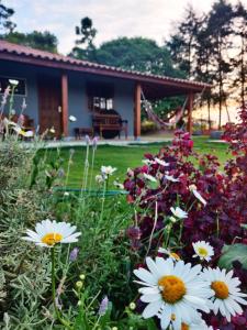 einen Garten mit Blumen vor einem Haus in der Unterkunft Sítio por do Sol - Pedra Azul - ES in Pedra Azul