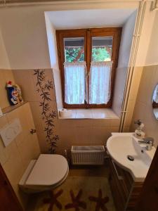 een kleine badkamer met een toilet en een wastafel bij GERENDÁS VENDÉGHÁZ in Mátraderecske