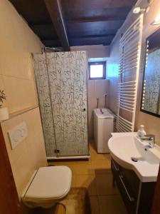 een badkamer met een douche, een toilet en een wastafel bij GERENDÁS VENDÉGHÁZ in Mátraderecske