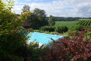 a swimming pool in a garden with a vineyard at Ferienhaus in Cisowa mit gemeinschaftlichem Pool, Garten und Grill und Panoramablick in Cisowa