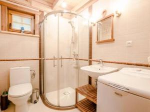 a bathroom with a shower and a toilet and a sink at Charmantes Ferienhaus in Dbina mit Offenerem Kamin und Strand in der Nähe in Debina