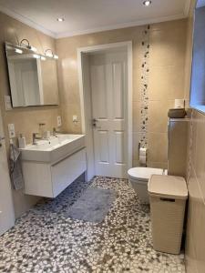 uma casa de banho com um lavatório, um WC e um espelho. em Stilvolle Ferienwohnung in ruhiger Lage em Willingen