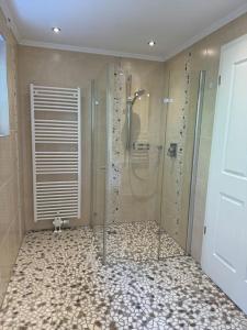 uma casa de banho com um chuveiro e uma porta de vidro em Stilvolle Ferienwohnung in ruhiger Lage em Willingen