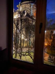 a window with a view of a building with a tree at Museum Apartments in Lviv