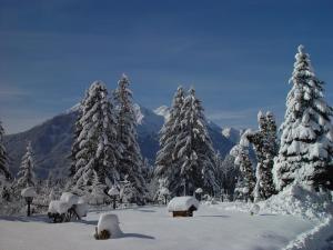 een met sneeuw bedekt bos met sneeuw bedekte bomen en bergen bij Holzblockhaus auf zwei Etagen mit Whirlbadewanne und Kaminofen in Berg im Drautal