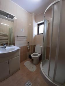 a bathroom with a toilet and a sink and a shower at Predeal Holiday House in Predeal