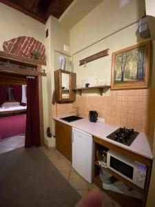 a kitchen with a sink and a stove top oven at Museum Apartments in Lviv