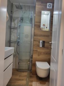 uma casa de banho com um WC e uma cabina de duche em vidro. em Luxury apartment em Teteven