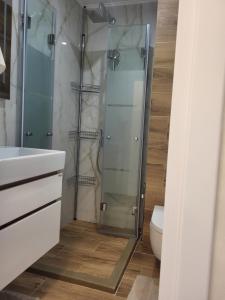 uma casa de banho com uma cabina de duche em vidro e um WC. em Luxury apartment em Teteven