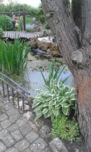 a garden with a pond and a tree and a plant at Appartement in Berlingen mit Garten, Terrasse und Grill in Berlingen