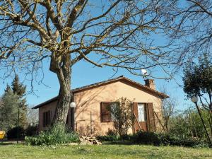una casa con un árbol delante de ella en Casale dell'Assiolo - Affittacamere, en Castiglione del Lago