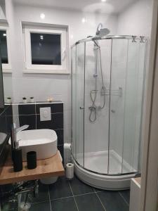 Kúpeľňa v ubytovaní Odlično opremljeni novouređeni apartmani Iva, Okrug Gornji + 9 fotografií