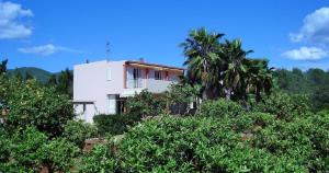 a house on a hill with a palm tree at Moderne Finca mit sehr großem Grundstück und Privatpool in Sant Joan de Labritja