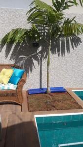 a palm tree sitting next to a couch next to a pool at Casa mobiliada para periodo TECNOSHOW in Rio Verde