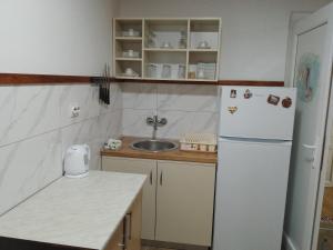 Η κουζίνα ή μικρή κουζίνα στο Darija & Srđan