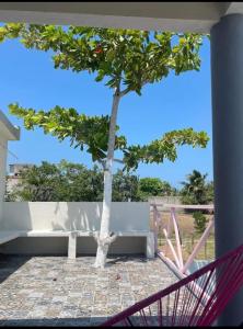 a tree in front of a white bench at Casa rossi in Tecolutla