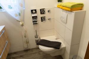 a white bathroom with a toilet and a shower at Ferienwohnung auf einem Reiterhof in Weißenstadt