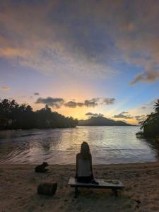 a woman sitting on a bench on the beach at ALAROOTS BORA BORA CAMP in Bora Bora