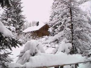 a cabin covered in snow next to some trees at Ferienhaus Stoakoglhütte in Klippitztörl in Klippitztorl