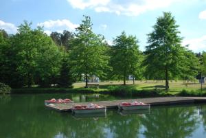 tres barcos sentados en un muelle en un lago en Bungalows für vier Personen, direkt am Strandbad gelegen, en Oostrum