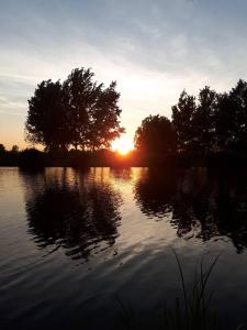 una puesta de sol sobre un cuerpo de agua con árboles en Buzogány Vendégház, en Lipót