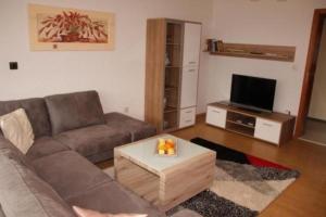 a living room with a couch and a tv at Ferienwohnung bis 6 Pers 1OG in Zandt