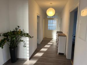 a hallway with a potted plant and a pendant light at Stadtvilla in Hechingen in Hechingen