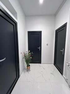 Apartman No. 3 في زغرب: بابين سوداوين في غرفة بيضاء مع نبات الفخار