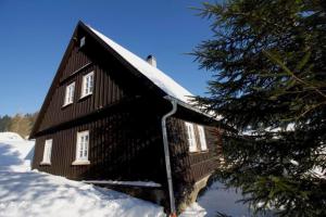 une maison recouverte de neige avec un arbre devant dans l'établissement Appartement in Klingenthal mit Terrasse, Garten und Grill, à Klingenthal