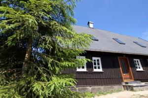 uma casa negra com uma árvore em frente em Appartement in Klingenthal mit Terrasse, Garten und Grill em Klingenthal