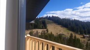 een balkon met uitzicht op een berg bij Sofi in Yablunytsia