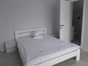 Voodi või voodid majutusasutuse Sofi toas