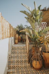 Fotografie z fotogalerie ubytování Riad Dar M v Marrákéši