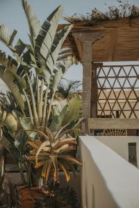 Fotografie z fotogalerie ubytování Riad Dar M v Marrákéši
