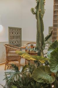 Fotografie z fotogalerie ubytování Riad Dar M v Marrákéši